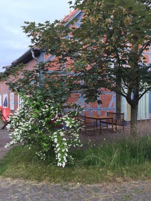 Entspannung In Der Schoenen Lueneburger Heide Gohrde Exterior foto