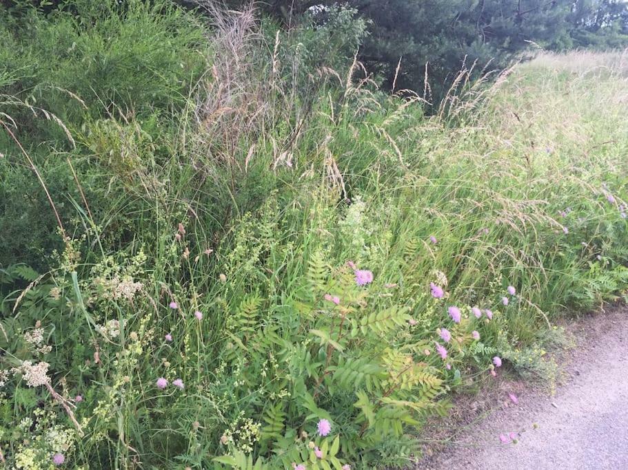 Entspannung In Der Schoenen Lueneburger Heide Gohrde Exterior foto
