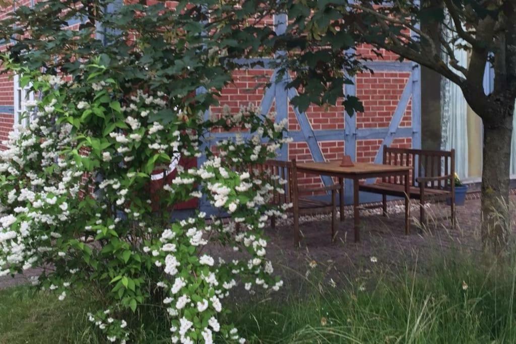 Entspannung In Der Schoenen Lueneburger Heide Gohrde Exterior foto
